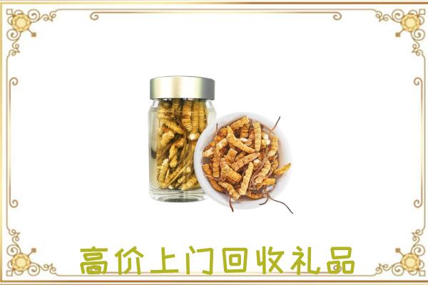 博尔塔拉周边回收虫草